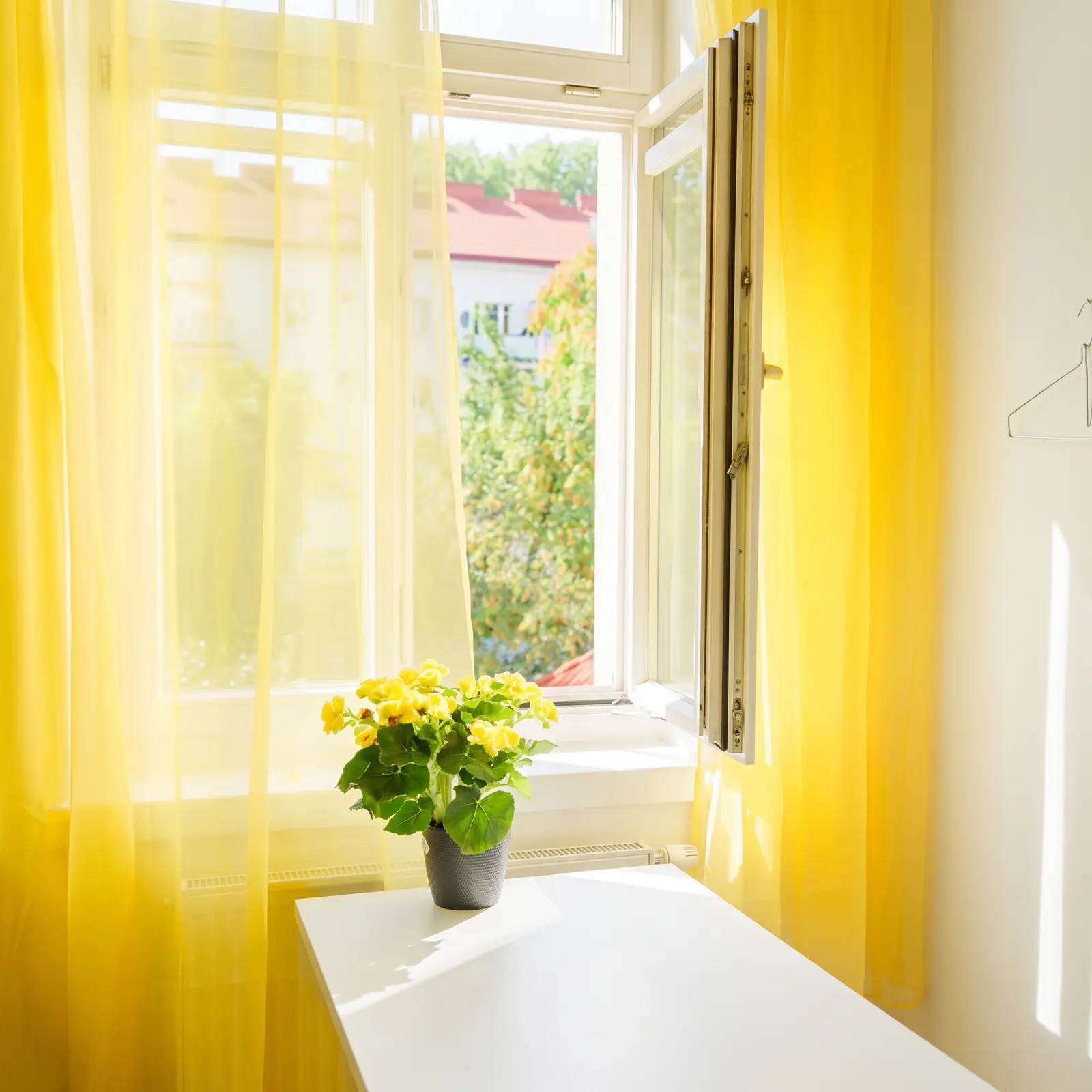 Chiffon Curtains in Al Nuaimiya