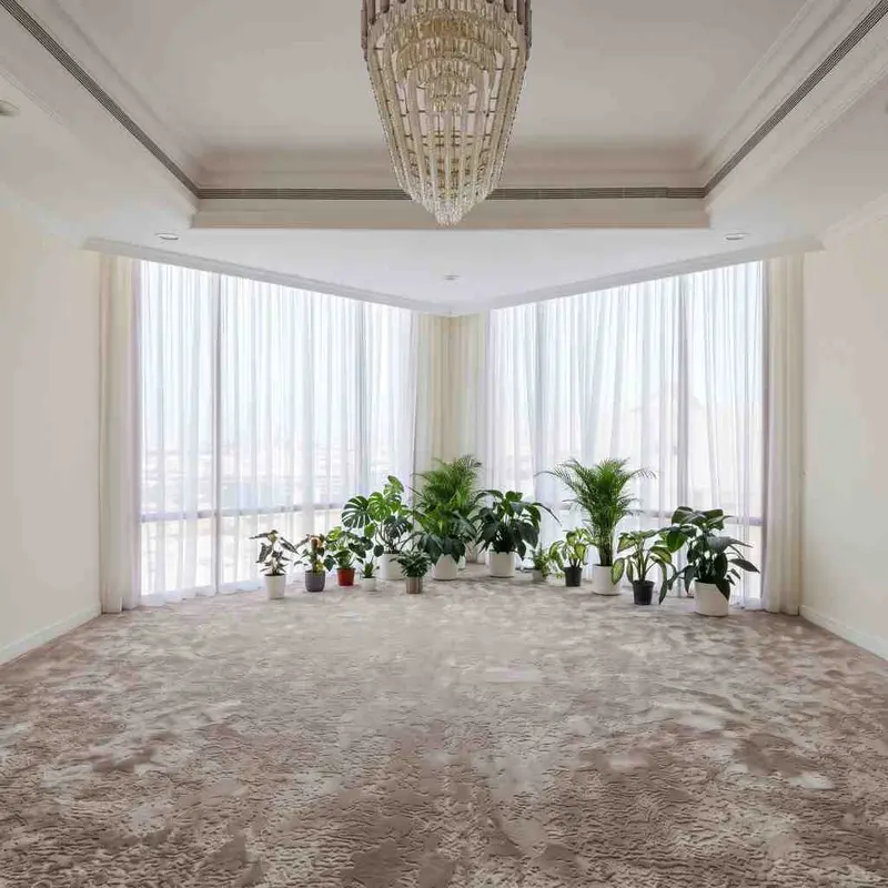 Sheer Curtains in Marina